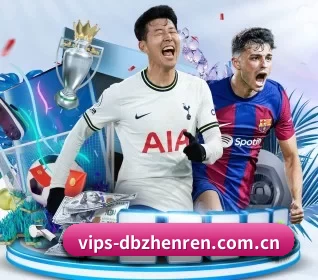 vips-dbzhenren.com.cn APP 界面